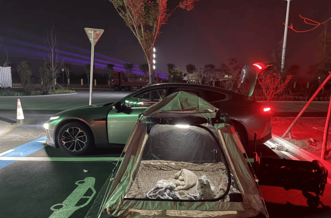 期间年轻人旅行掀起“帐篷过夜”热潮澳门新葡京网页不住酒店住帐