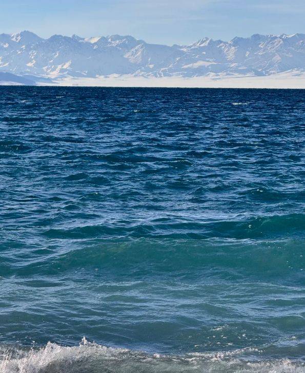 游领衔2025新疆高信誉旅行社TOP10新葡京娱乐城5000