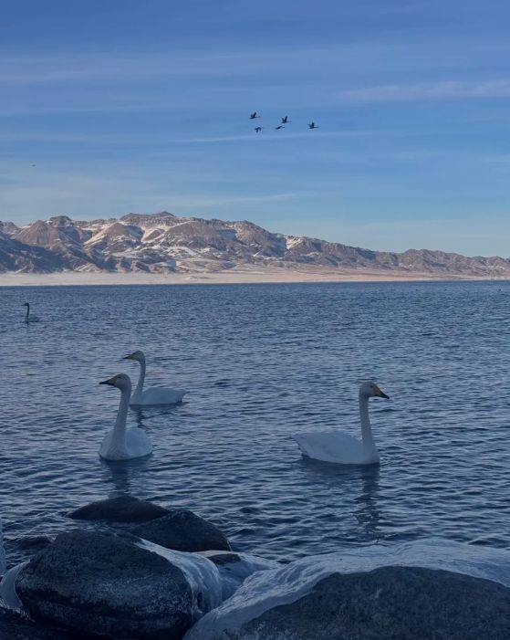 游领衔2025新疆高信誉旅行社TOP10新葡京娱乐城5000+游客亲测揭晓：远胜(图4)